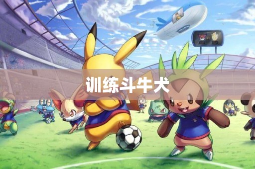 訓練斗牛犬