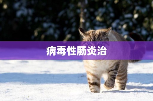 病毒性腸炎治