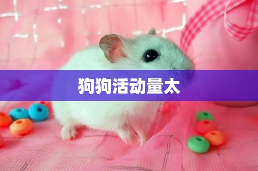 狗狗活動量太