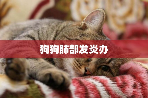 狗狗肺部發炎辦