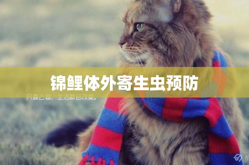 錦鯉體外寄生蟲預防