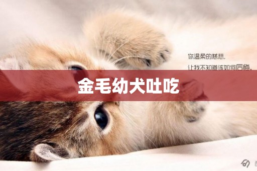 金毛幼犬吐吃