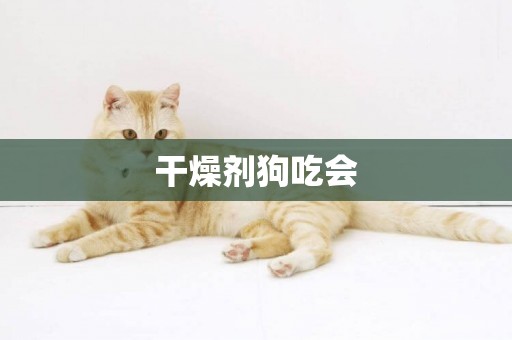 干燥劑狗吃會