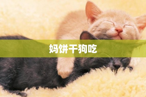 媽餅干狗吃