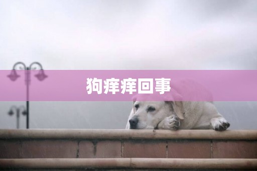 狗癢癢回事