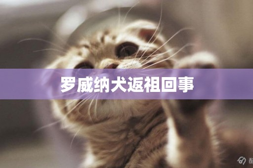 羅威納犬返祖回事