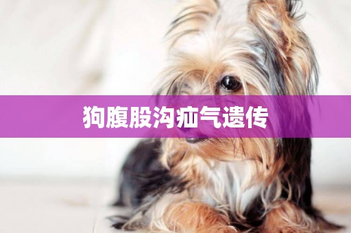 狗腹股溝疝氣遺傳