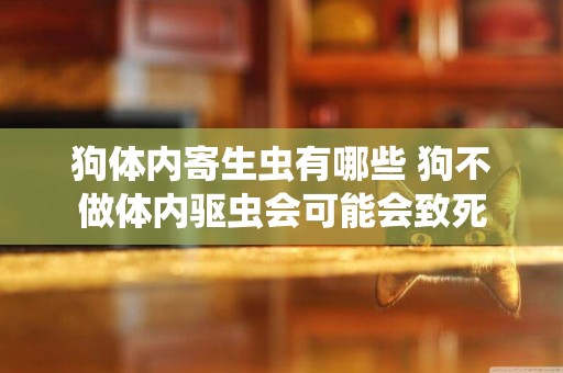 狗體內寄生蟲有哪些 狗不做體內驅蟲會可能會致死