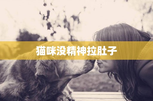 貓咪沒精神拉肚子