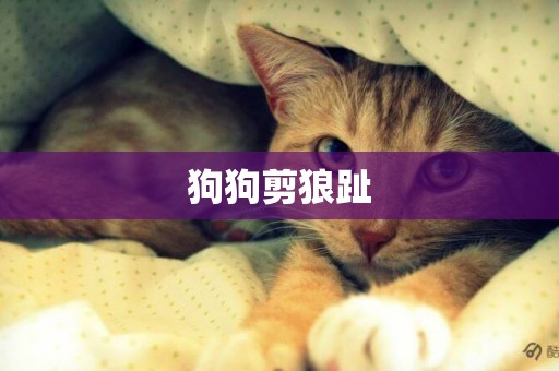 狗狗剪狼趾