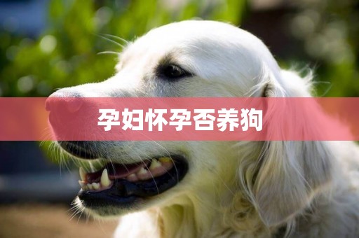 孕婦懷孕否養狗