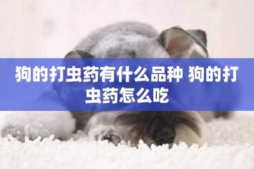 狗的打蟲藥有什么品種 狗的打蟲藥怎么吃