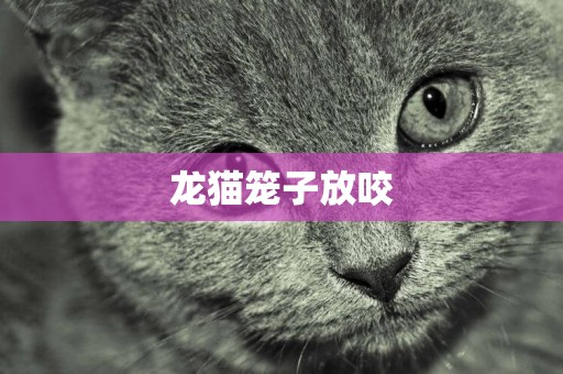 龍貓籠子放咬