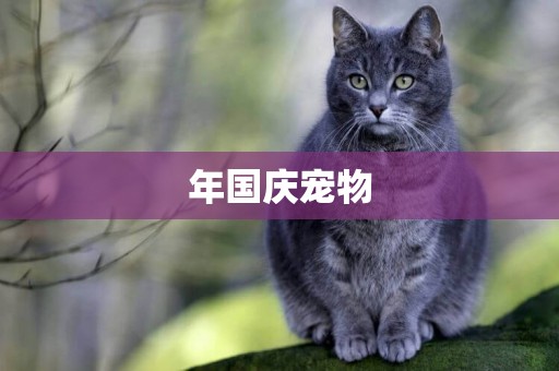 年國慶寵物