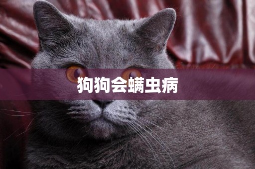 狗狗會螨蟲病