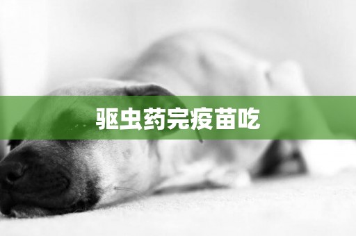 驅蟲藥完疫苗吃