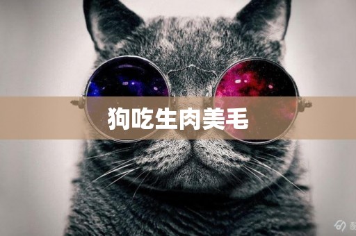 狗吃生肉美毛