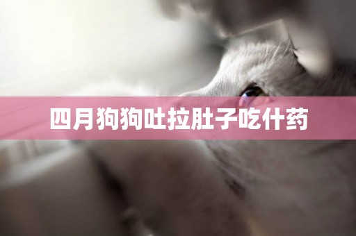 四月狗狗吐拉肚子吃什藥