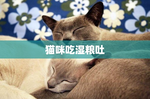 貓咪吃濕糧吐