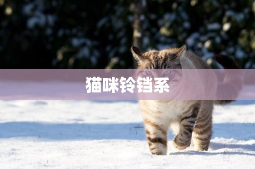 貓咪鈴鐺系