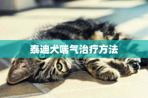 泰迪犬喘氣治療方法