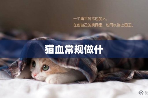 貓血常規做什