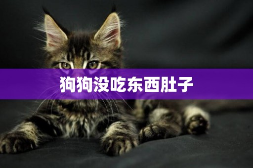 狗狗沒吃東西肚子