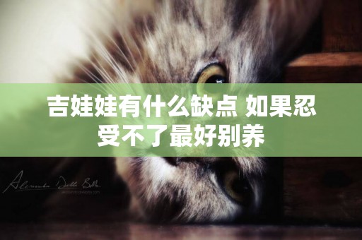 吉娃娃有什么缺點 如果忍受不了最好別養