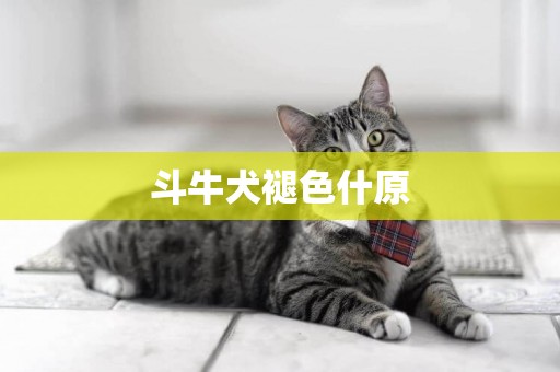 斗牛犬褪色什原