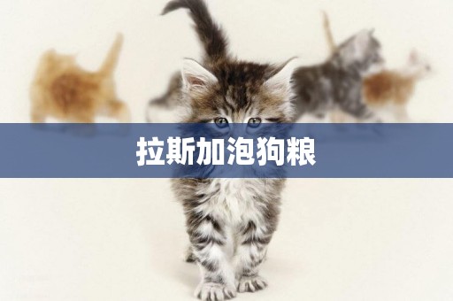 拉斯加泡狗糧