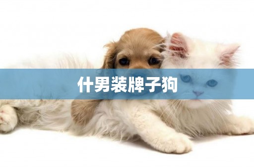 什男裝牌子狗