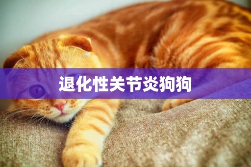 退化性關節炎狗狗