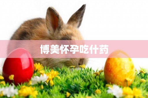 博美懷孕吃什藥