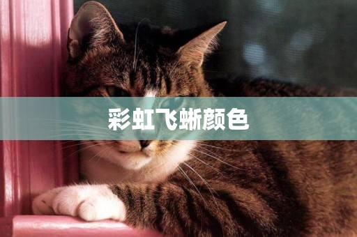 彩虹飛蜥顏色