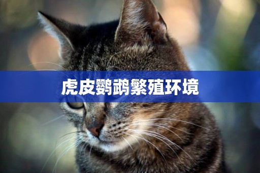 虎皮鸚鵡繁殖環境