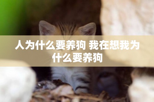 人為什么要養狗 我在想我為什么要養狗