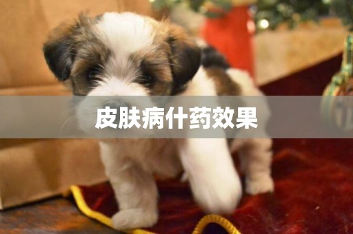 皮膚病什藥效果