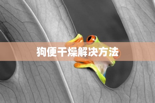 狗便干燥解決方法