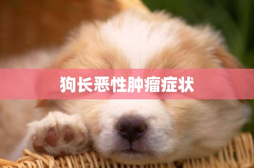 狗長惡性腫瘤癥狀