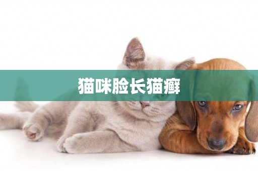 貓咪臉長貓癬
