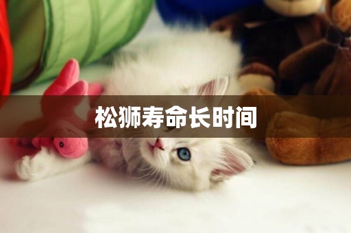 松獅壽命長時間