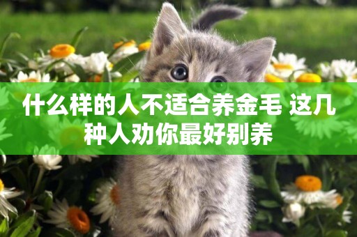 什么樣的人不適合養金毛 這幾種人勸你最好別養