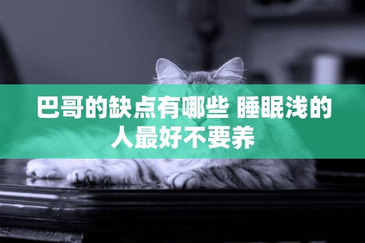 巴哥的缺點有哪些 睡眠淺的人最好不要養