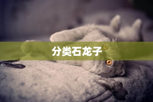 分類石龍子
