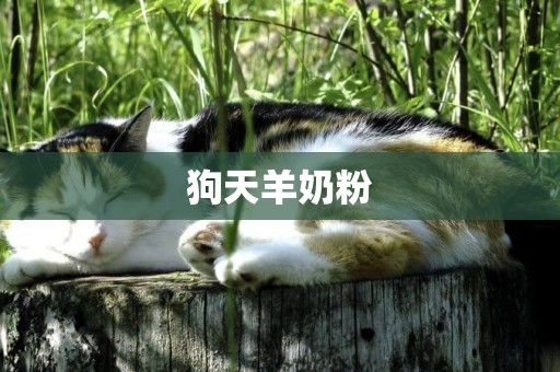 狗天羊奶粉