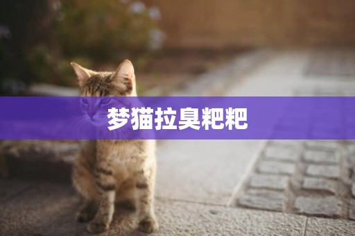 夢貓拉臭粑粑