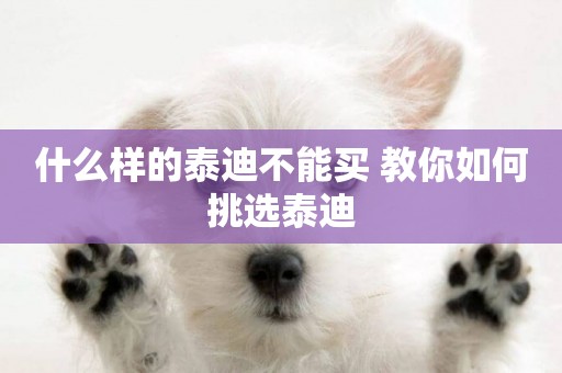 什么樣的泰迪不能買 教你如何挑選泰迪