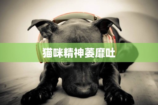 貓咪精神萎靡吐