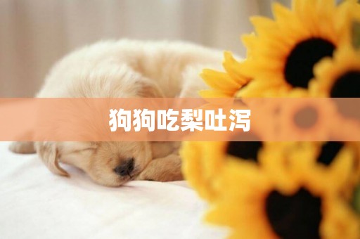 狗狗吃梨吐瀉