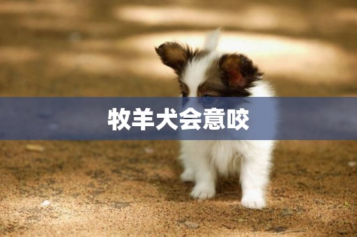 牧羊犬會意咬